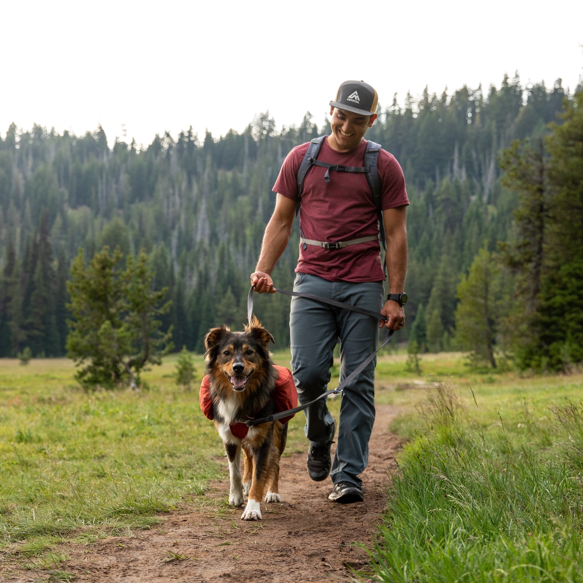 Ruffwear Switchbak Hundeleine - Rutschfester Griff für Kontrolle bei Nässe &amp; Regen - Woofshack