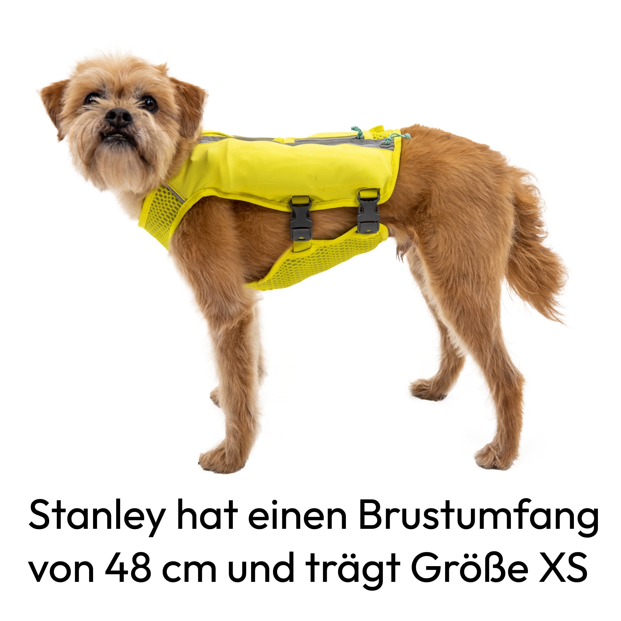 Ruffwear Trail Runner Running Vest – Ultraleichte Laufweste &amp; Trinkrucksack für aktive Hunde - Woofshack
