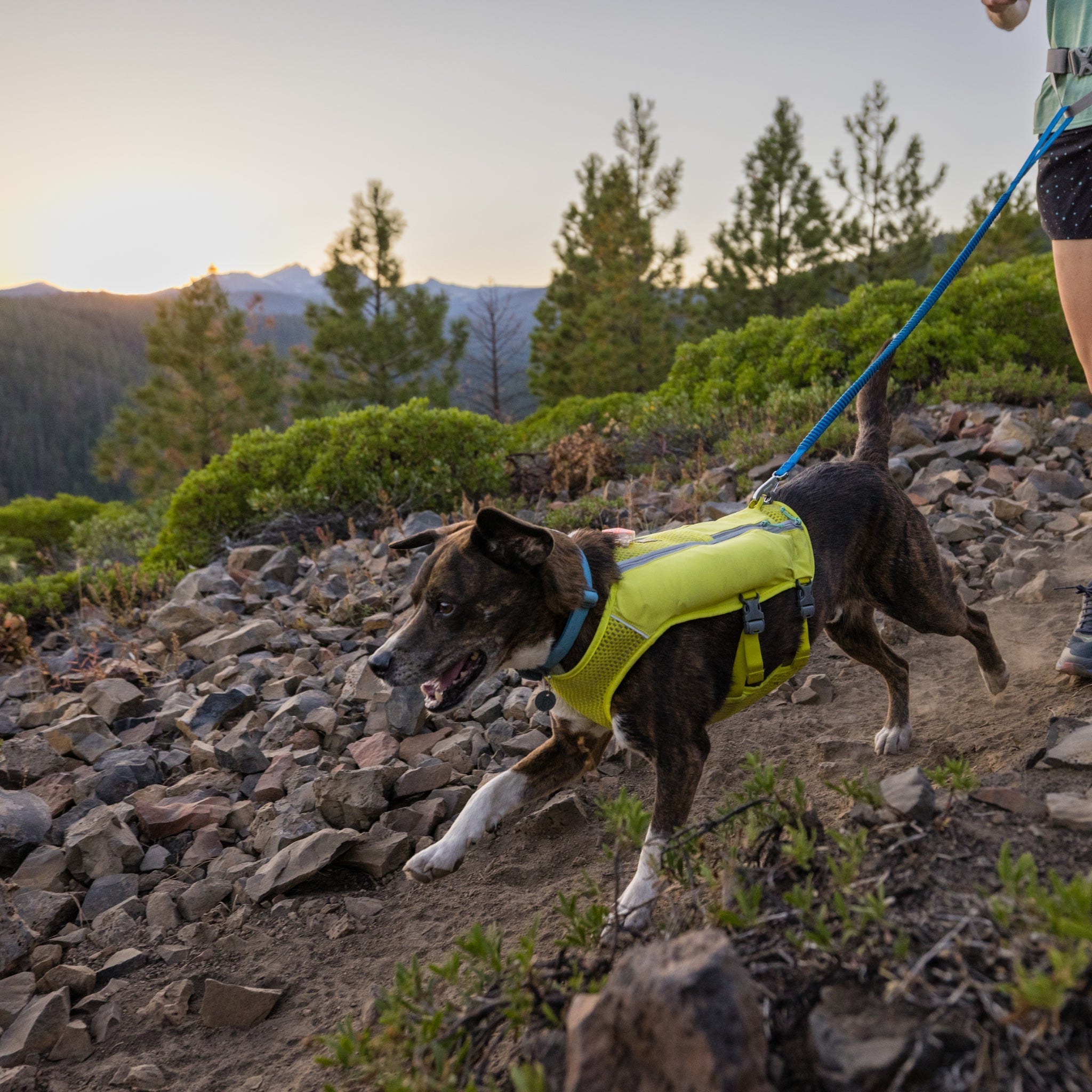 Ruffwear Trail Runner Running Vest – Ultraleichte Laufweste &amp; Trinkrucksack für aktive Hunde - Woofshack