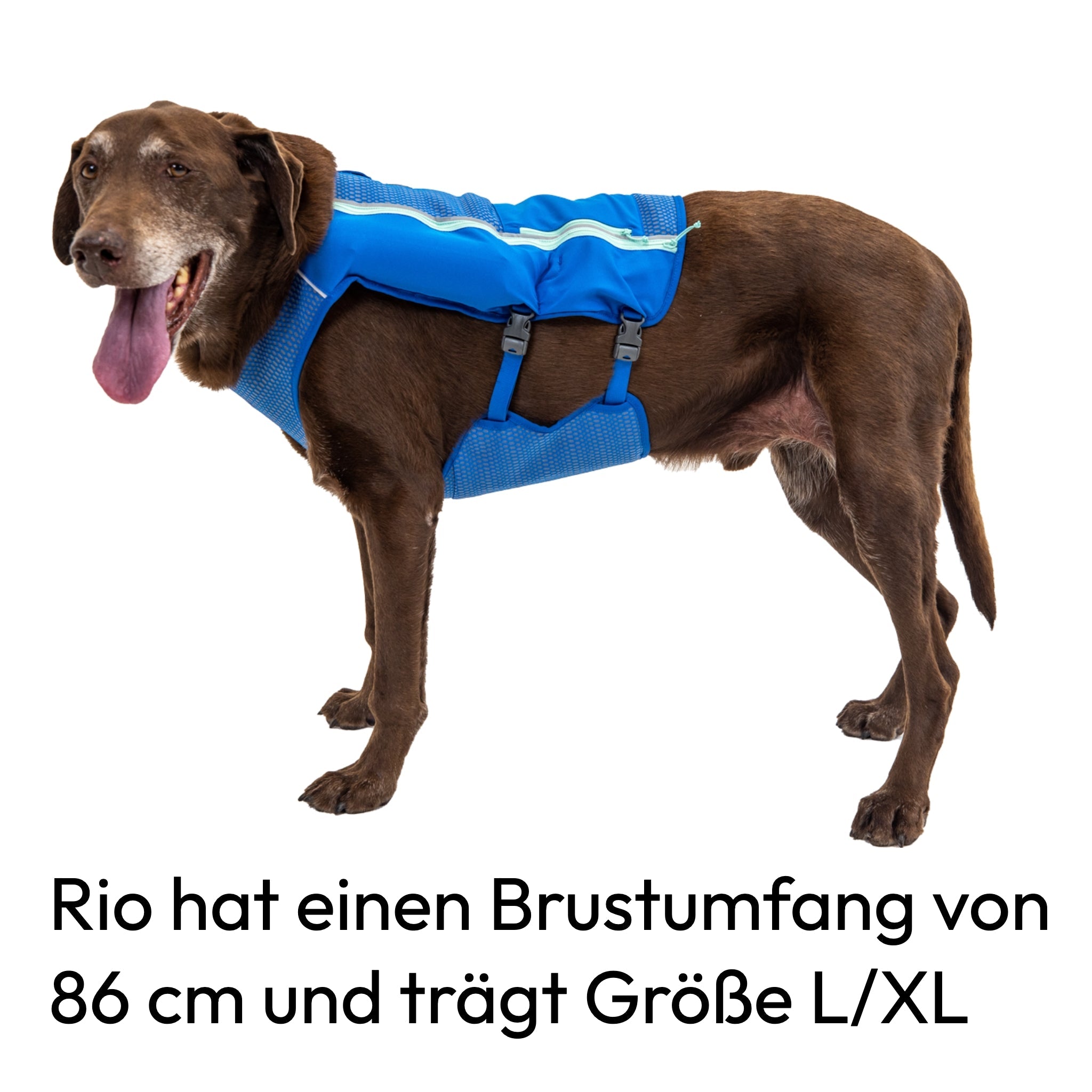 Ruffwear Trail Runner Running Vest – Ultraleichte Laufweste &amp; Trinkrucksack für aktive Hunde - Woofshack