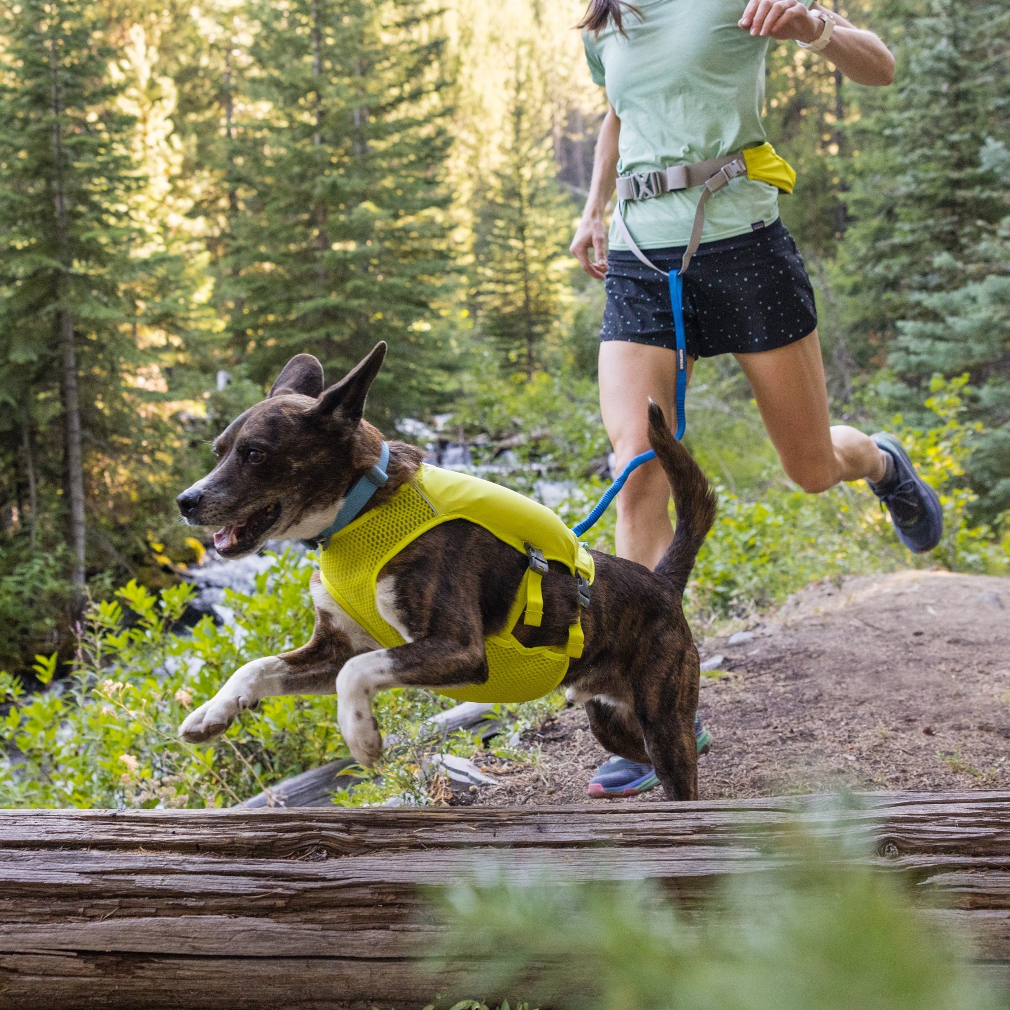 Ruffwear Trail Runner Running Vest – Ultraleichte Laufweste &amp; Trinkrucksack für aktive Hunde - Woofshack