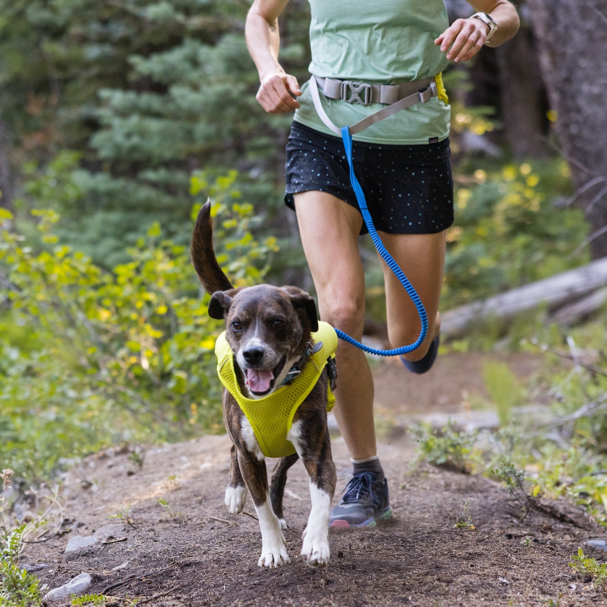 Ruffwear Trail Runner Running Vest – Ultraleichte Laufweste &amp; Trinkrucksack für aktive Hunde - Woofshack