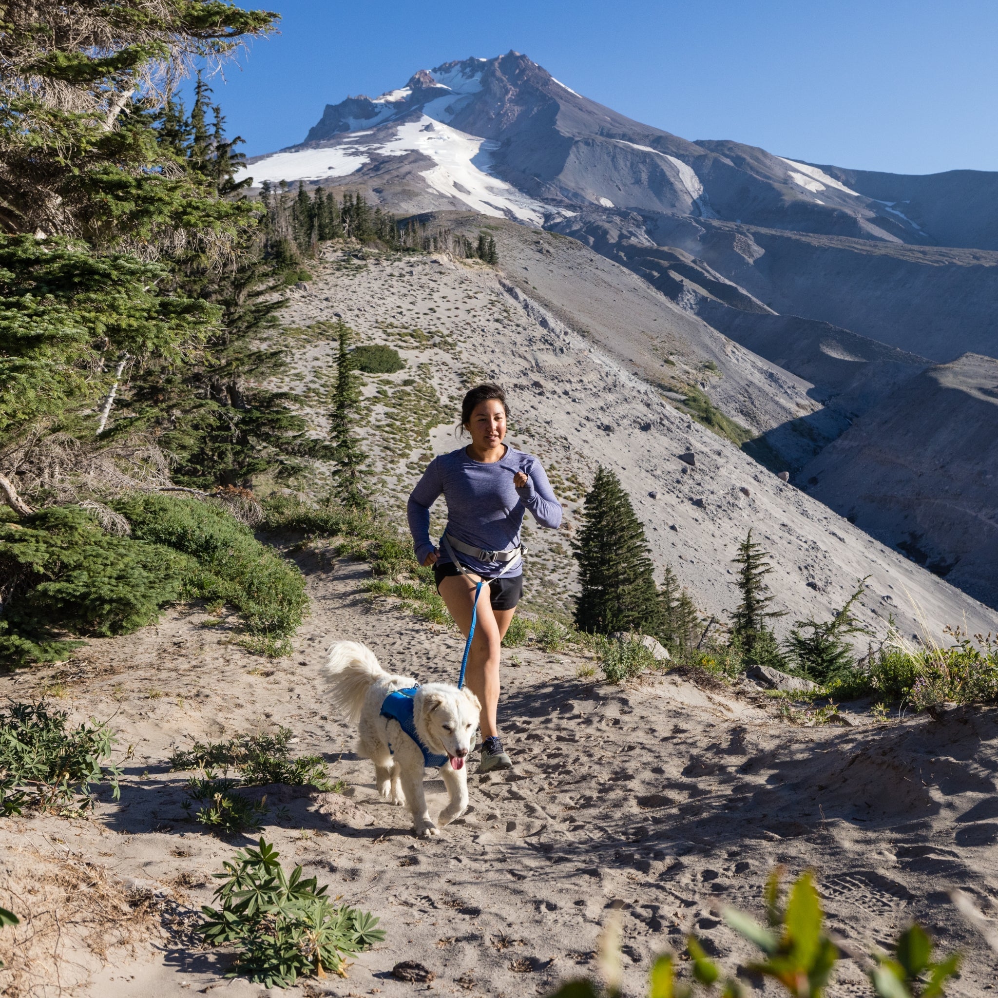 Ruffwear Trail Runner Running Vest – Ultraleichte Laufweste &amp; Trinkrucksack für aktive Hunde - Woofshack