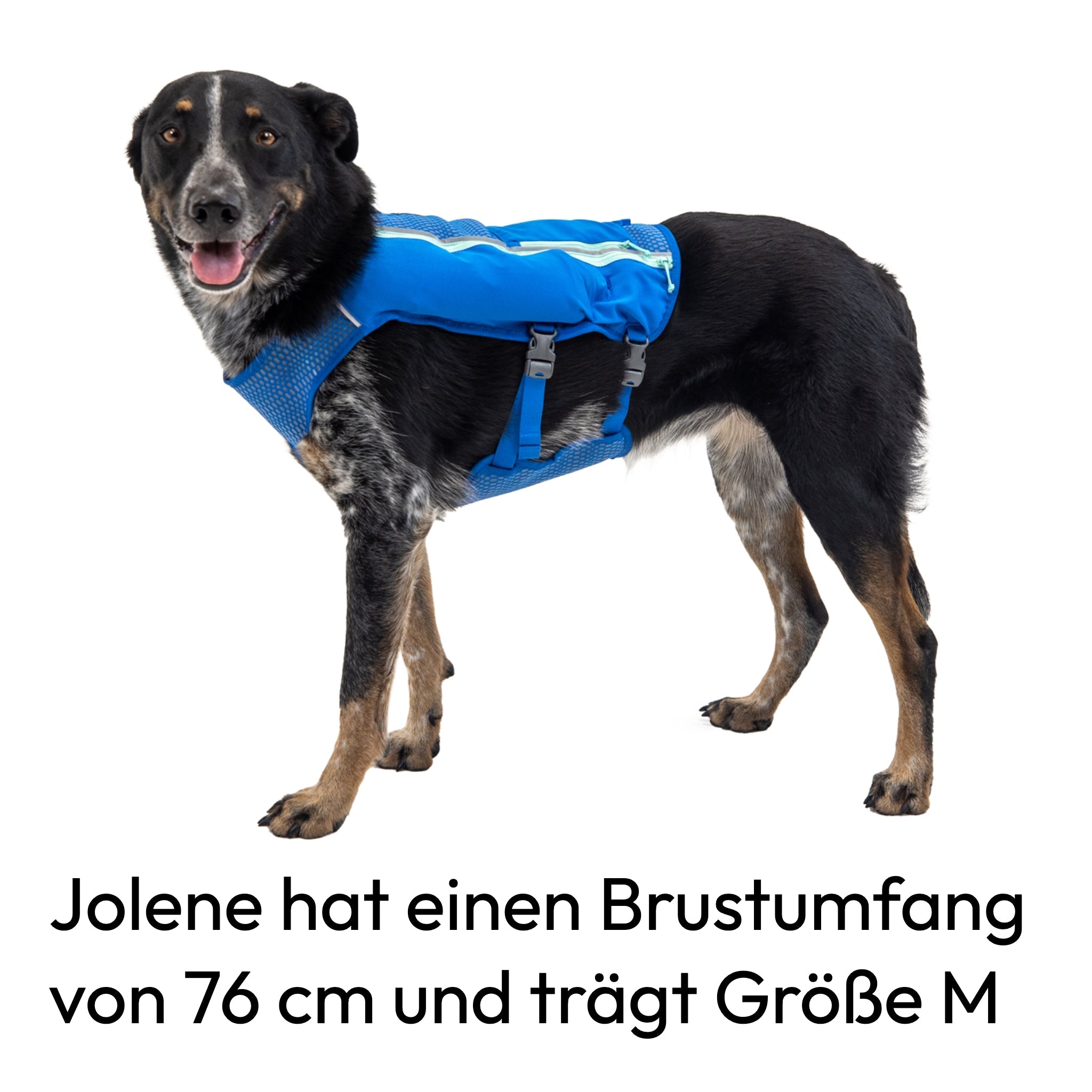 Ruffwear Trail Runner Running Vest – Ultraleichte Laufweste &amp; Trinkrucksack für aktive Hunde - Woofshack
