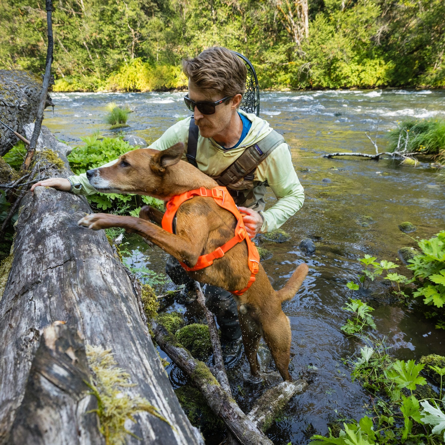 Ruffwear Web Master Hundegeschirr – Ausbruchsicheres 5-Punkt-Sicherheitsgeschirr