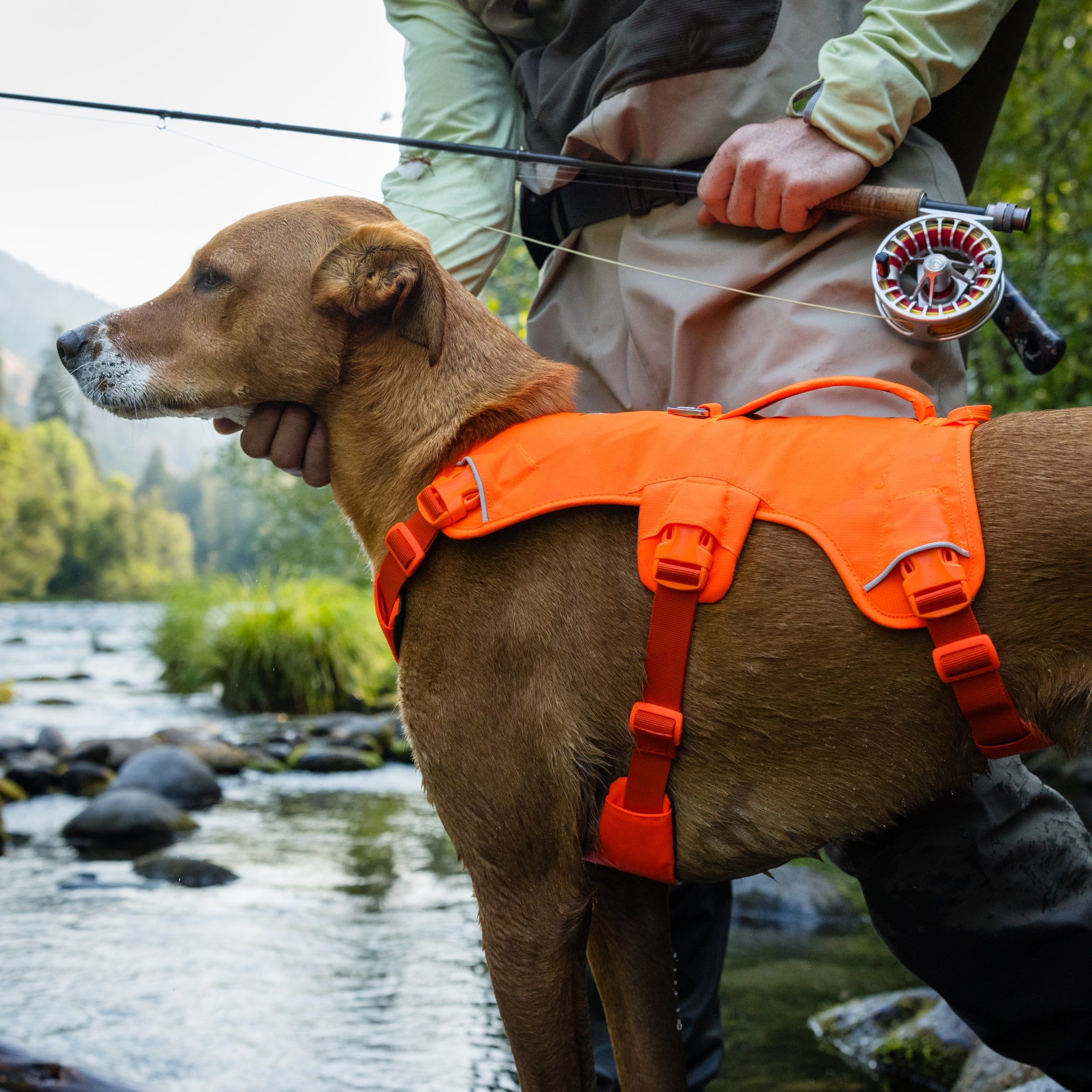 Ruffwear Web Master Hundegeschirr – Ausbruchsicheres 5-Punkt-Sicherheitsgeschirr