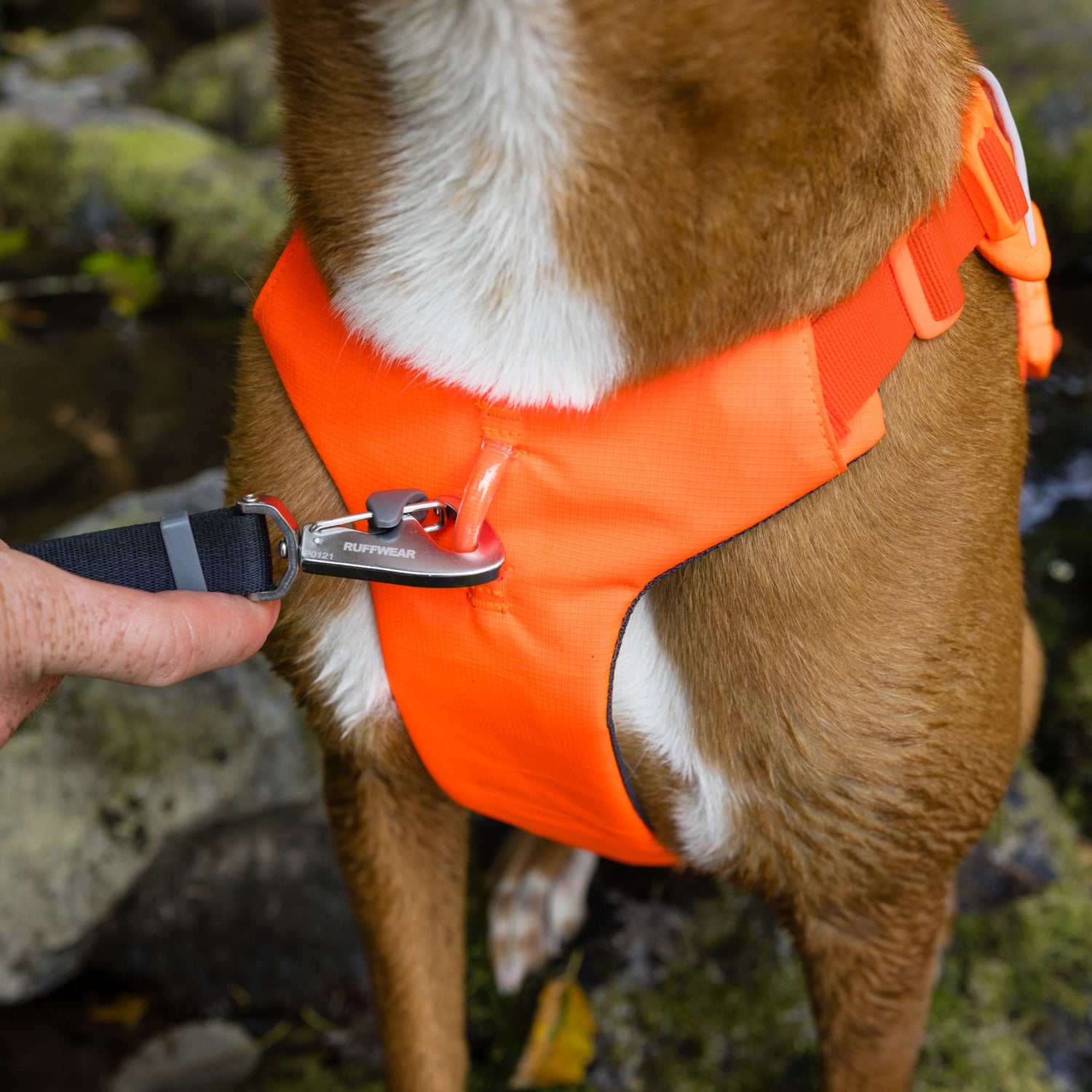 Ruffwear Web Master Hundegeschirr – Ausbruchsicheres 5-Punkt-Sicherheitsgeschirr