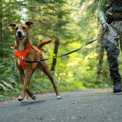 Ruffwear Web Master Hundegeschirr – Ausbruchsicheres 5-Punkt-Sicherheitsgeschirr