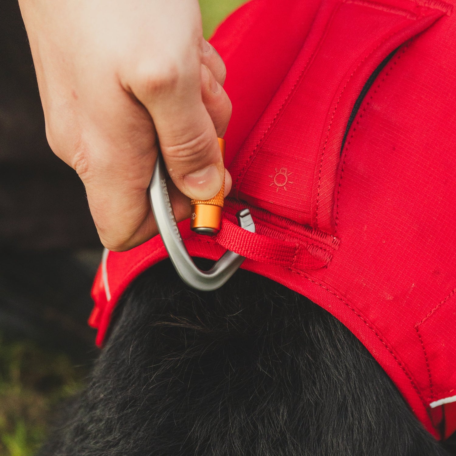 Ruffwear Web Master Hundegeschirr – Sicherer Halt für Abenteuer - Woofshack