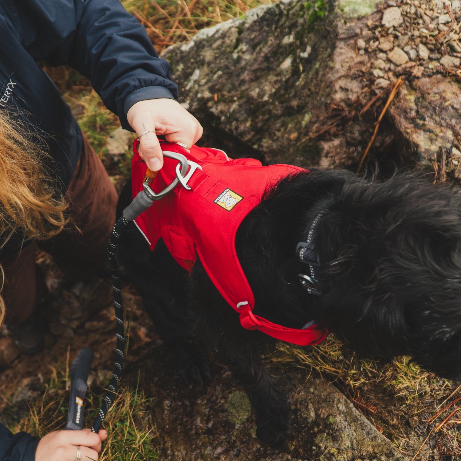 Ruffwear Web Master Hundegeschirr – Sicherer Halt für Abenteuer - Woofshack