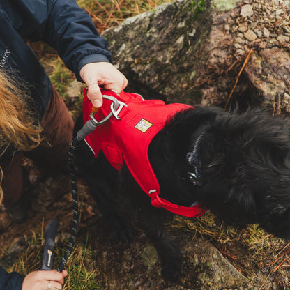 Ruffwear Web Master Hundegeschirr – Sicherer Halt für Abenteuer - Woofshack