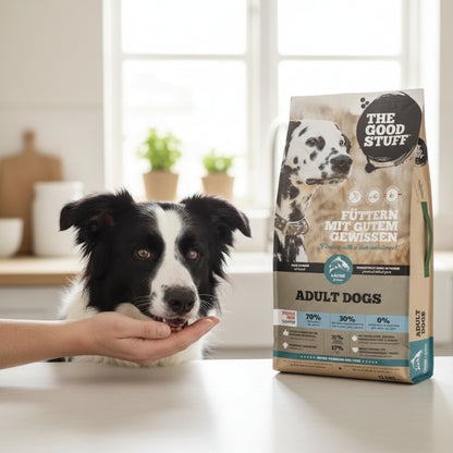 The Goodstuff Adult Dogs Lachs Trockenfutter – Getreidefreie Premium - Vollnahrung für vitale, gesunde Hunde - Woofshack