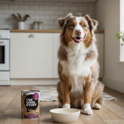 The Goodstuff Hunde Nassfutter Wild mit Preiselbeeren &amp; Apfel – 70% Fleischanteil, getreidefrei, natürlich &amp; gesund für alle Rassen - Woofshack