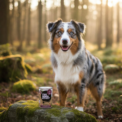 The Goodstuff Hunde Nassfutter Wild mit Preiselbeeren &amp; Apfel – 70% Fleischanteil, getreidefrei, natürlich &amp; gesund für alle Rassen - Woofshack