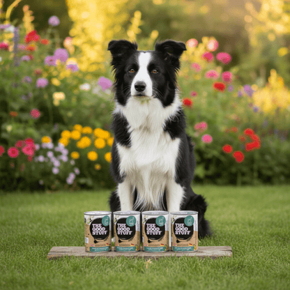 The Goodstuff Premium Hunde - Nassfutter mit saftigem Lamm – Natürlich, getreidefrei &amp; leicht verdaulich - Woofshack