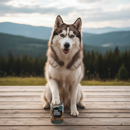 The Goodstuff Premium Hunde - Nassfutter mit saftigem Lamm – Natürlich, getreidefrei &amp; leicht verdaulich - Woofshack