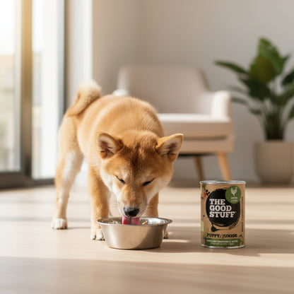 The Goodstuff Puppy/Junior Nassfutter Huhn – Natürliches Welpenfutter für gesundes Wachstum - Woofshack