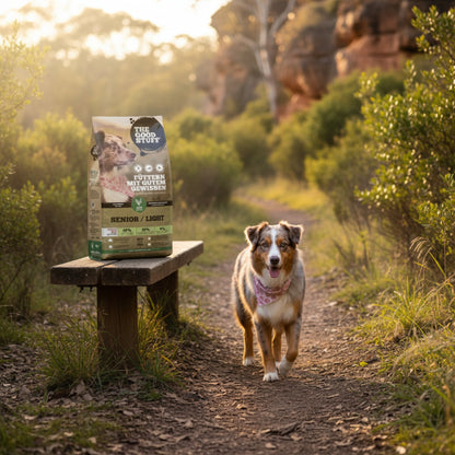 The Goodstuff Senior/Adult Light Trockenfutter Huhn – Gelenkschutz &amp; Gewichtskontrolle - Woofshack