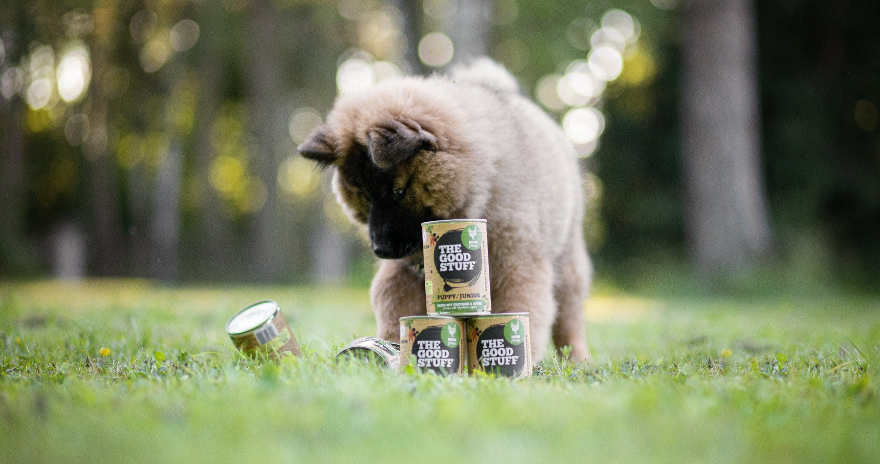 The Goodstuff Hundefutter, Dog food