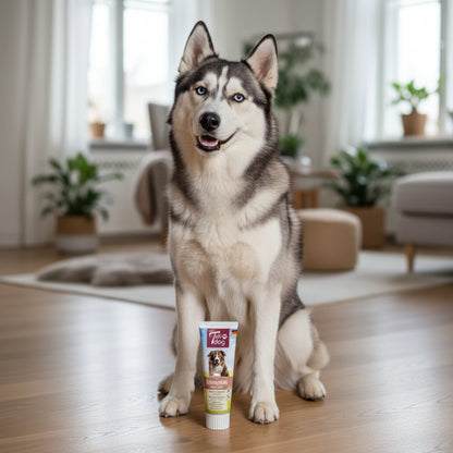 TubiDog Baconcreme – Cremige Belohnungspaste mit unwiderstehlichem Bacon - Geschmack für Training, Medikamentengabe &amp; Bindung - Woofshack