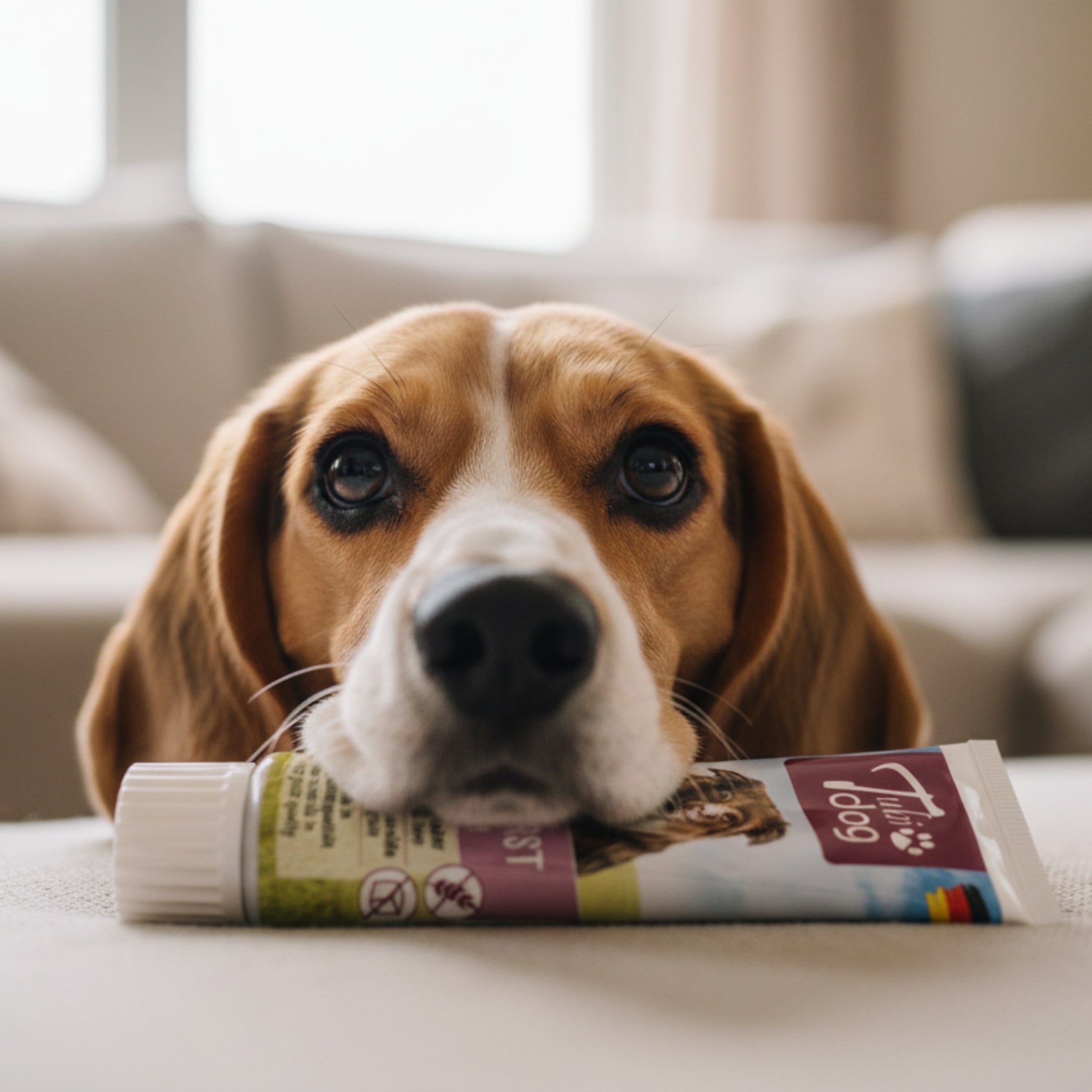 TubiDog Leberwurst – Premium Hundesnack aus natürlichen Zutaten für Training, Belohnung &amp; Verwöhnen | Ideal für Welpen &amp; erwachsene Hunde - Woofshack