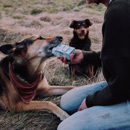 VEGDOG Adult Erbsen &amp; Haferflocken, Hunde Nassfutter - Woofshack