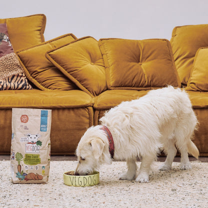 VEGDOG Adult Green Crunch, Veganes Hunde Trockenfutter
