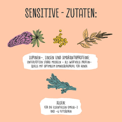 VEGDOG Adult Sensitive Lupinenprotein, Veganes Hunde Nassfutter - Woofshack