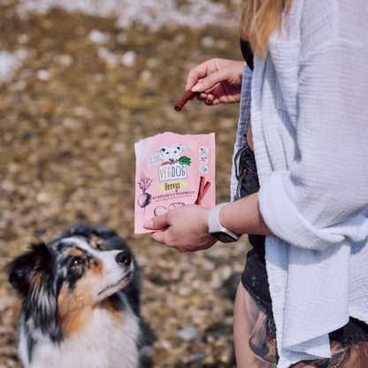 VEGDOG Beevys Vegane Kausticks, Hundesnack - Woofshack