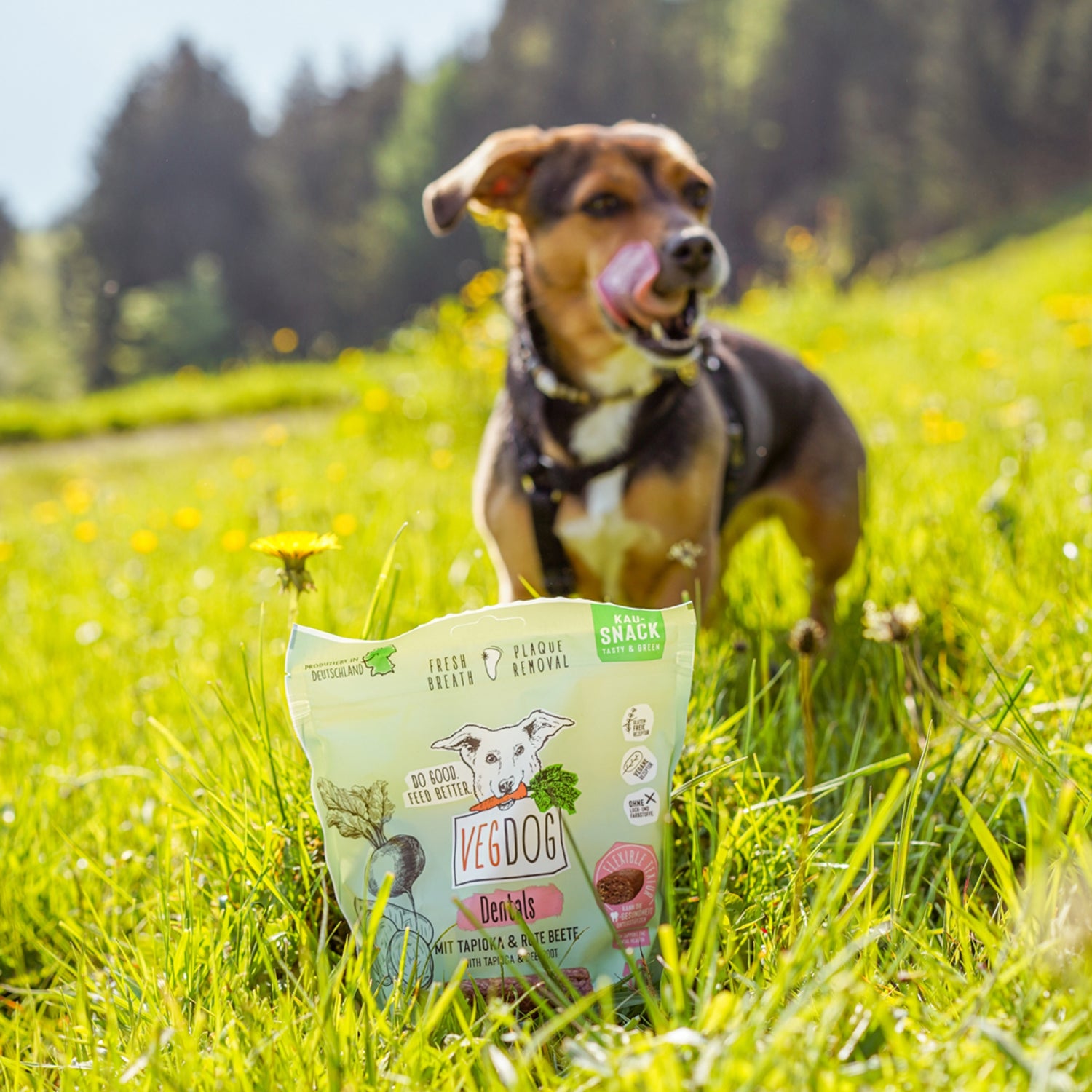 VEGDOG Dentals - Vegane Zahnpflege Sticks, Hundesnack