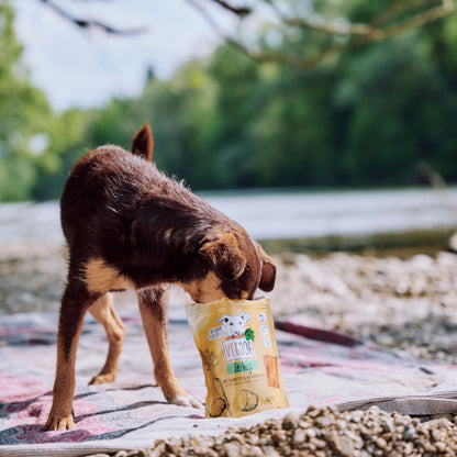 VEGDOG Jerkeys - Vegane Leckerlis, Hundesnack