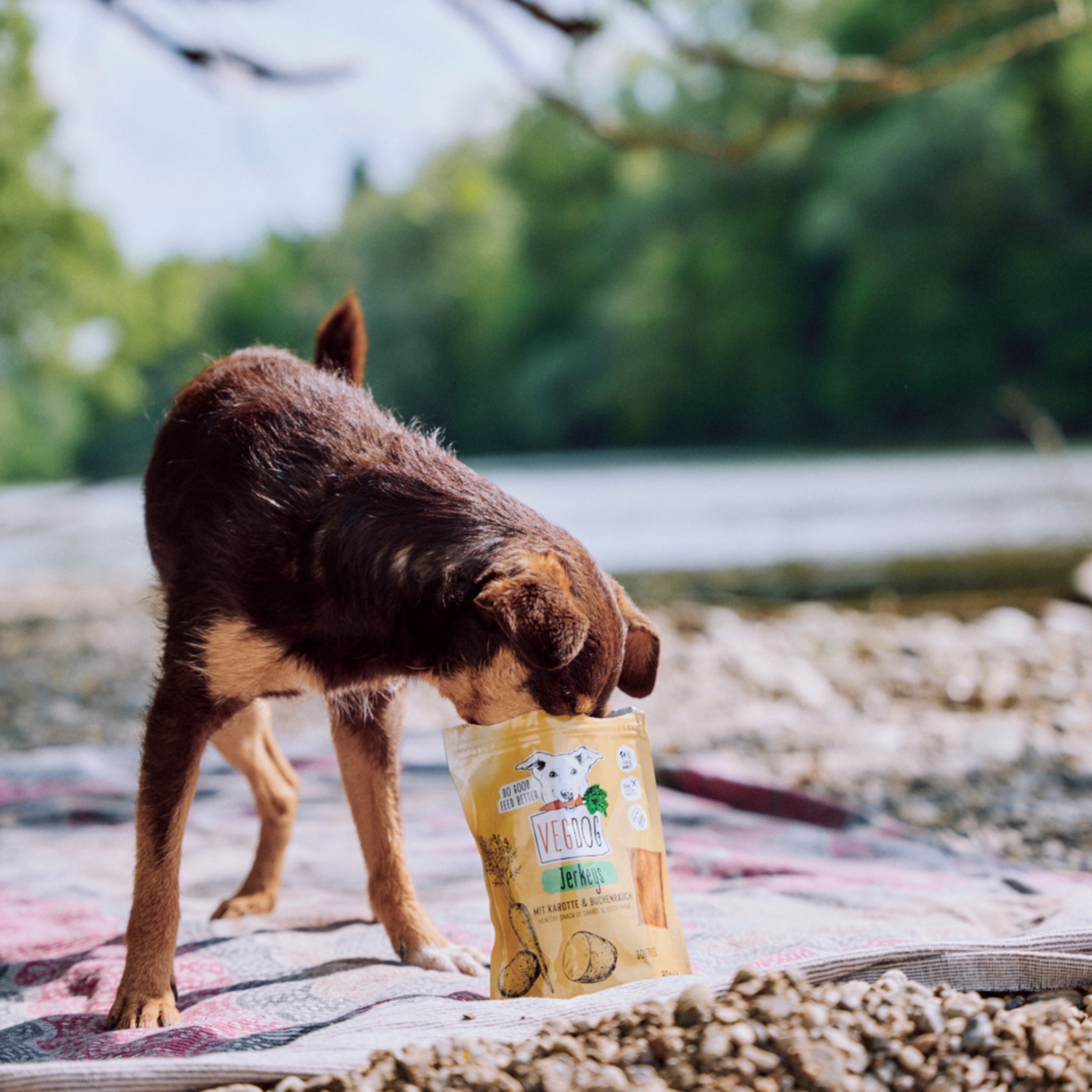 VEGDOG Jerkeys - Vegane Leckerlis, Hundesnack - Woofshack