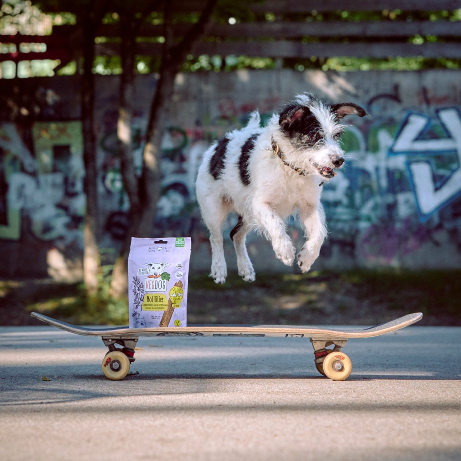 VEGDOG Mobilities - Vegane Leckerlis für die Gelenke, Hundesnack