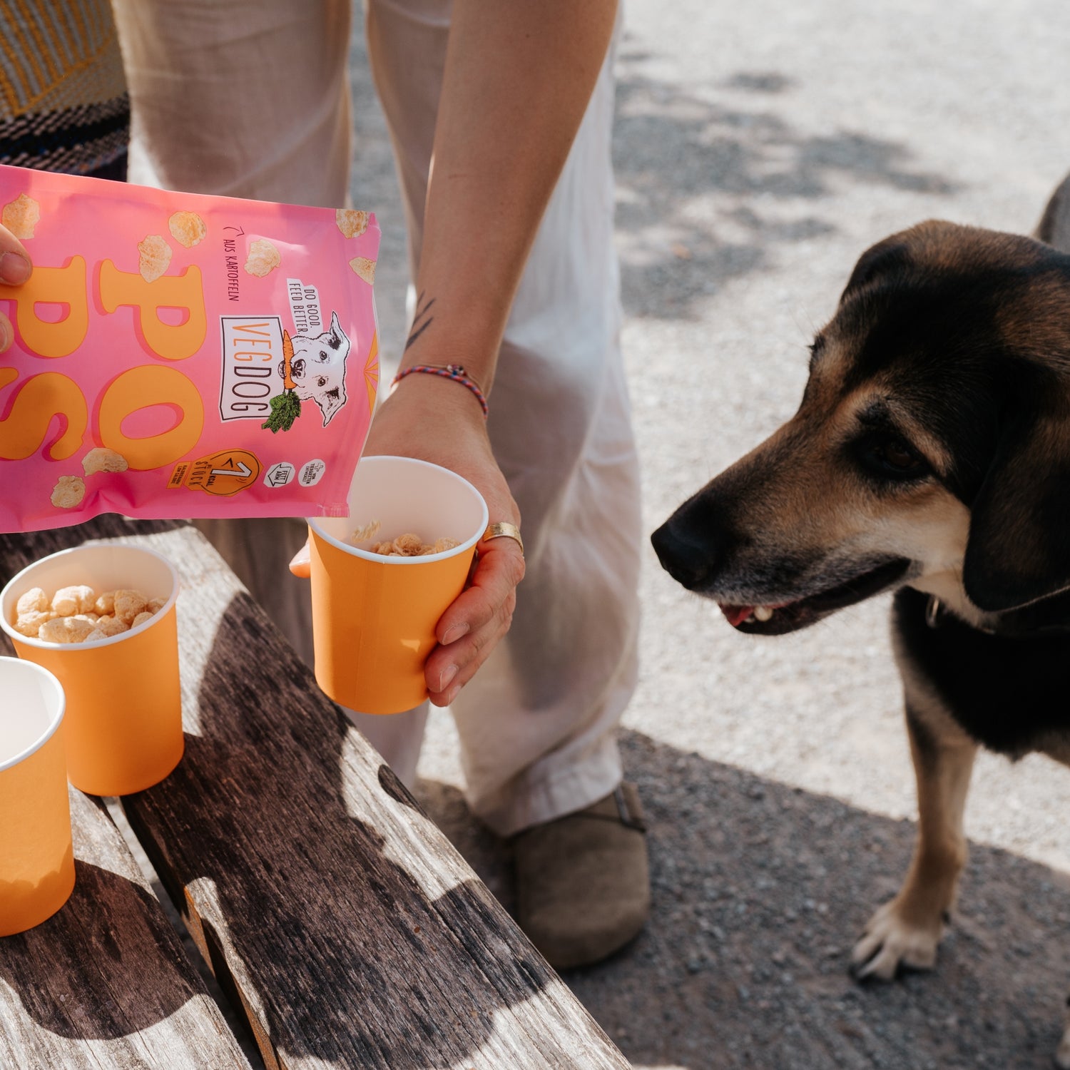 VEGDOG Pops, Kalorienarmer Hundesnack