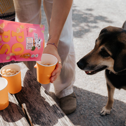 VEGDOG Pops, Kalorienarmer Hundesnack - Woofshack