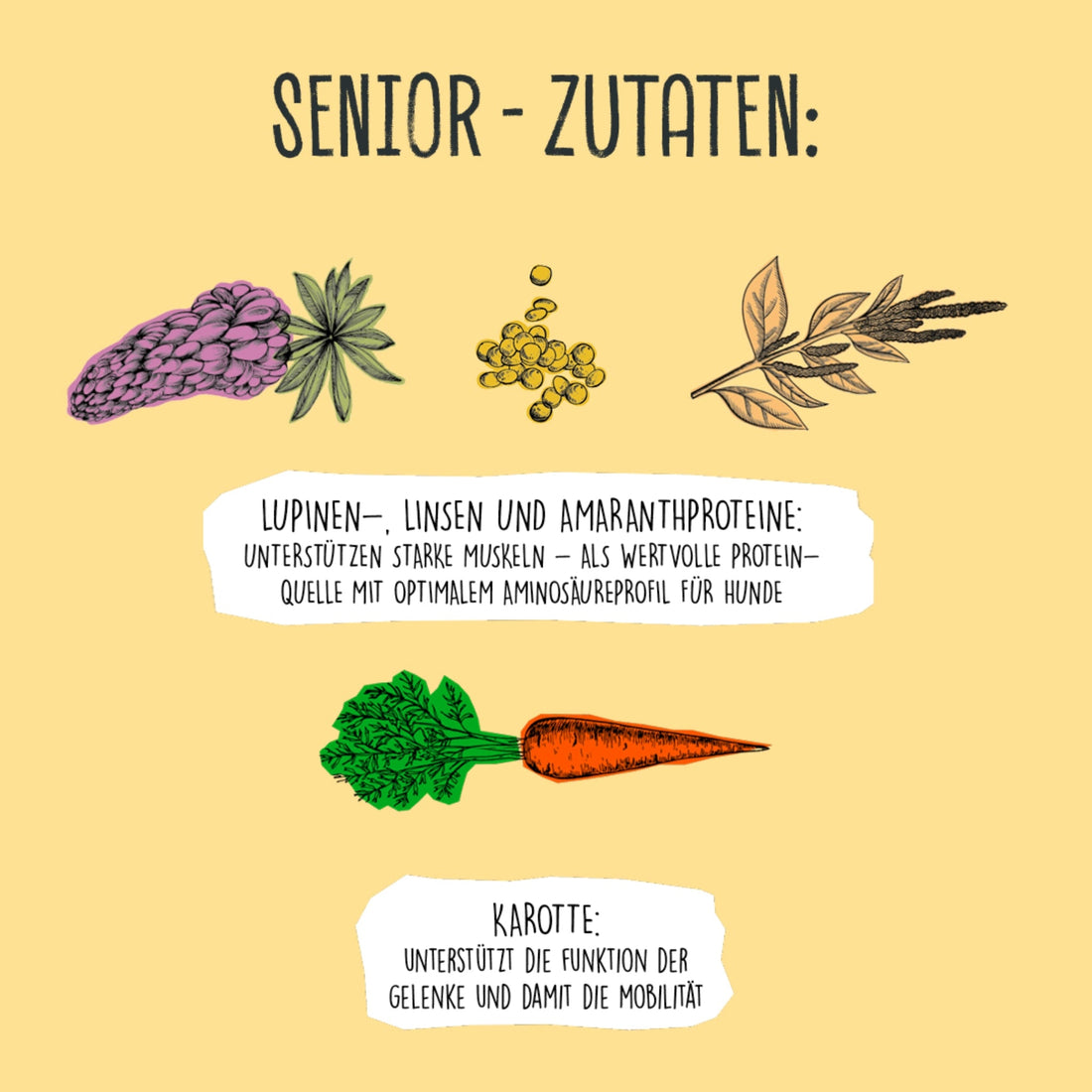 VEGDOG Senior Erbsen &amp; Hirse, Veganes Hunde Nassfutter - Woofshack