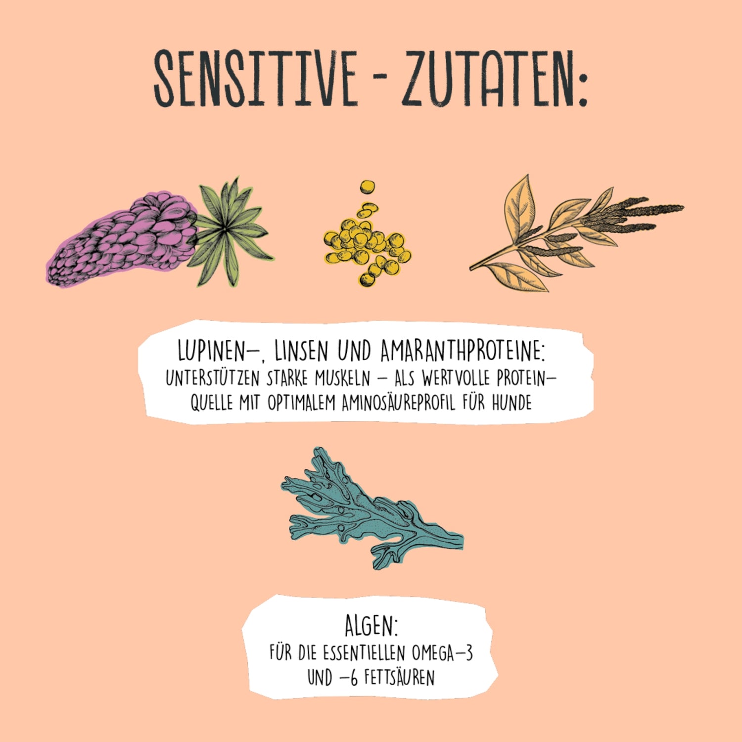 VEGDOG Adult Sensitive Lupinenprotein, Veganes Hunde Nassfutter