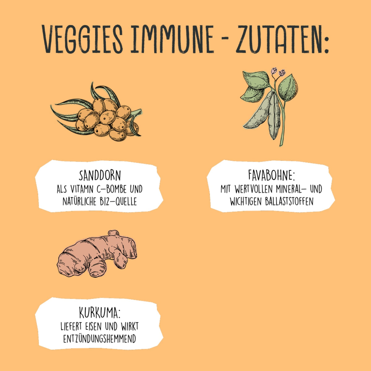 VEGDOG Veggies Immune, Veganer Hundesnack - Woofshack