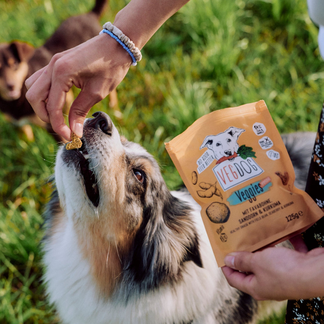 VEGDOG Veggies Immune, Veganer Hundesnack - Woofshack