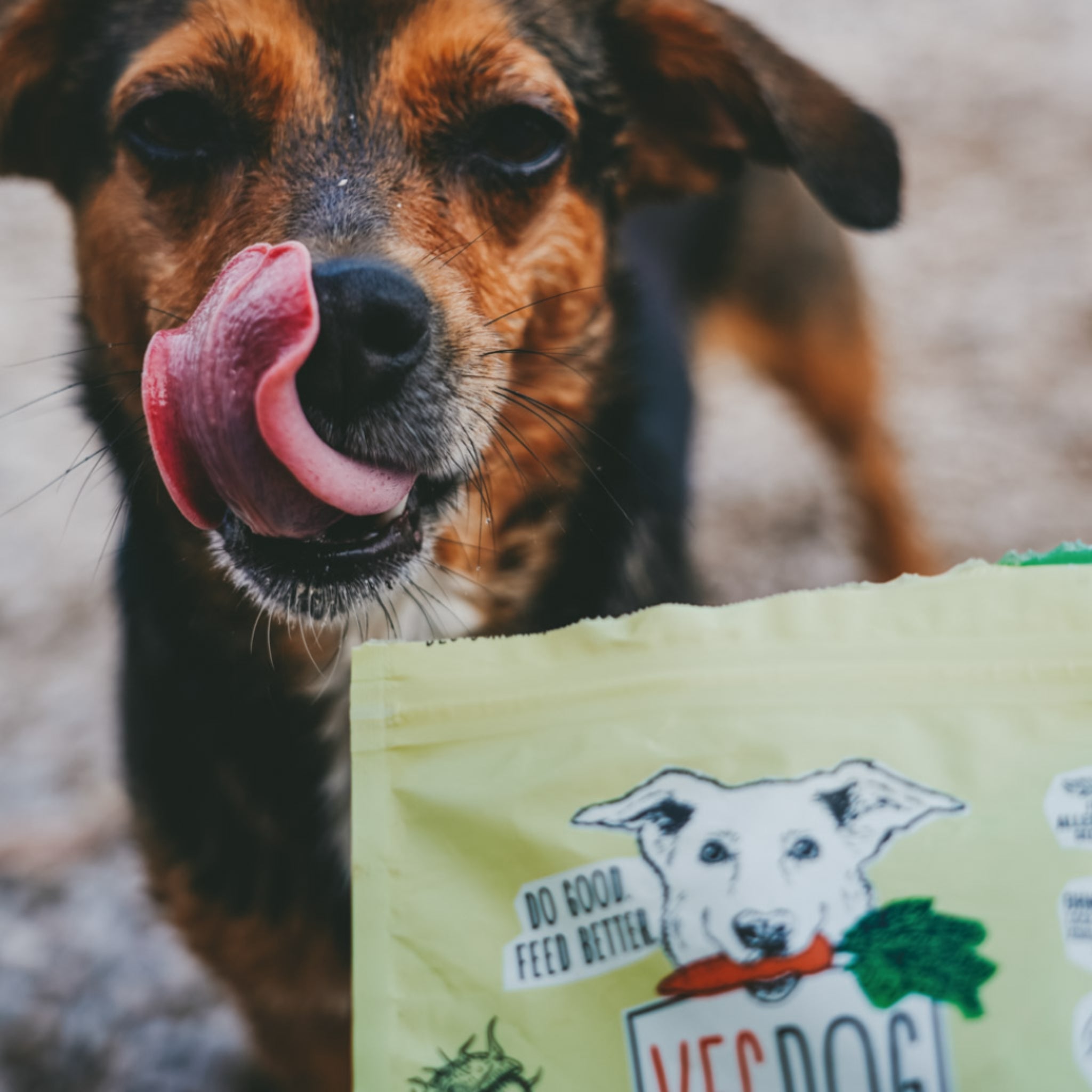 VEGDOG Veggies Skincare - Leckerlis für Haut &amp; Fell, Hundesnack