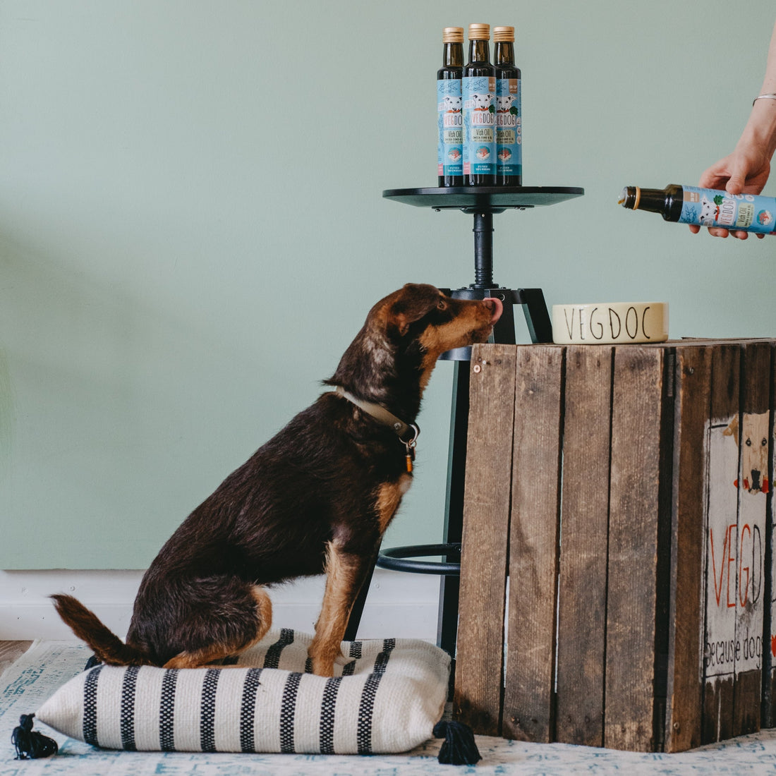 VEGDOG Vish Oil - Veganes Fischöl für Hunde - Woofshack