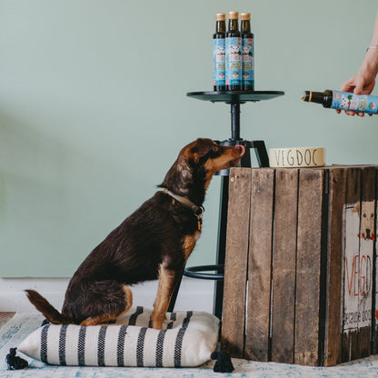 VEGDOG Vish Oil - Veganes Fischöl für Hunde - Woofshack