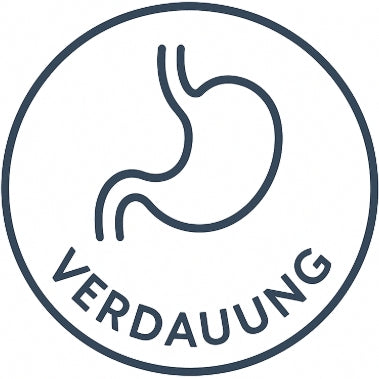 Magen Darm Verdauung
