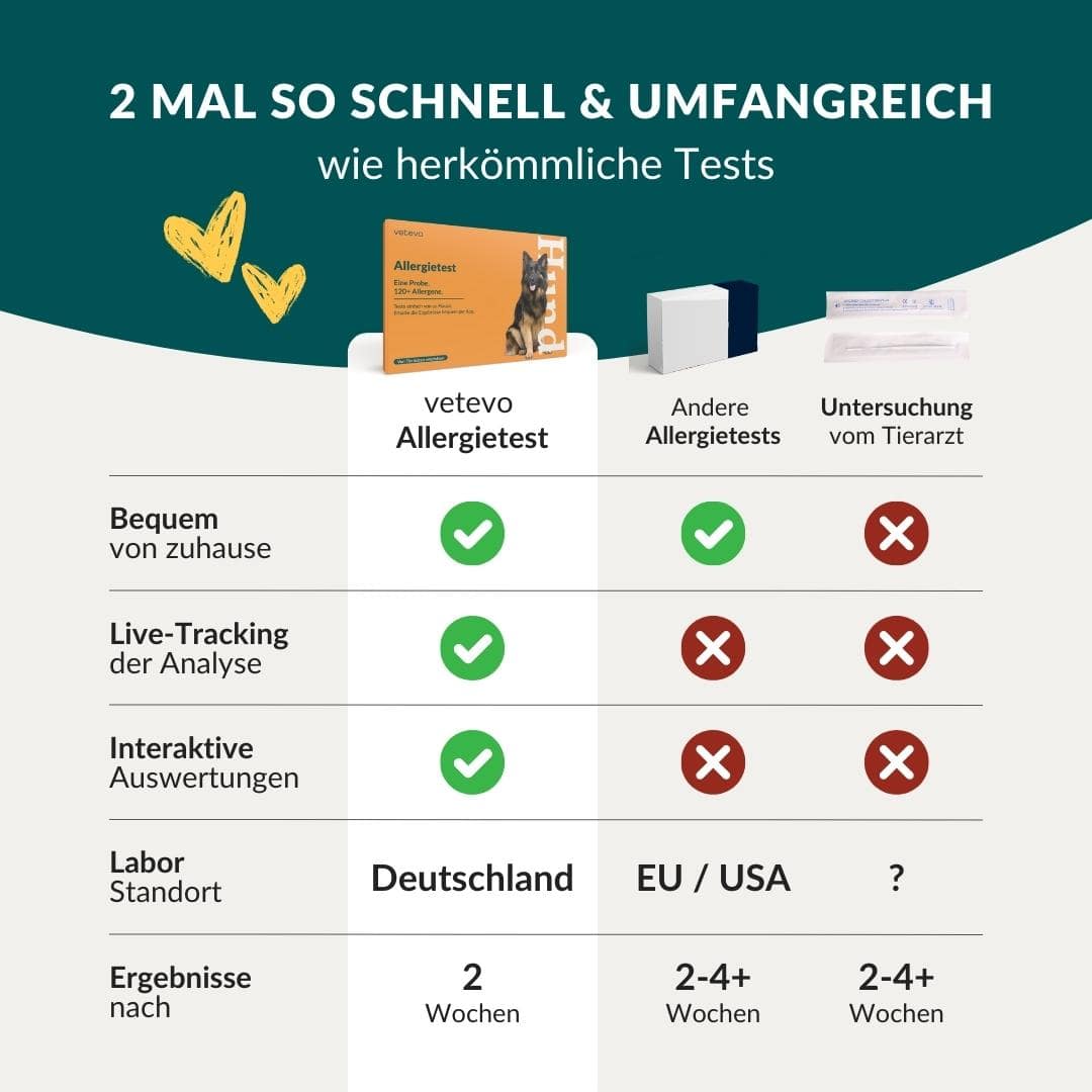 Vetevo Allergietest Basic Hund – 278 Futtermittel-Unverträglichkeiten erkennen | Bei Juckreiz, Pfotenlecken &amp; Durchfall - Woofshack