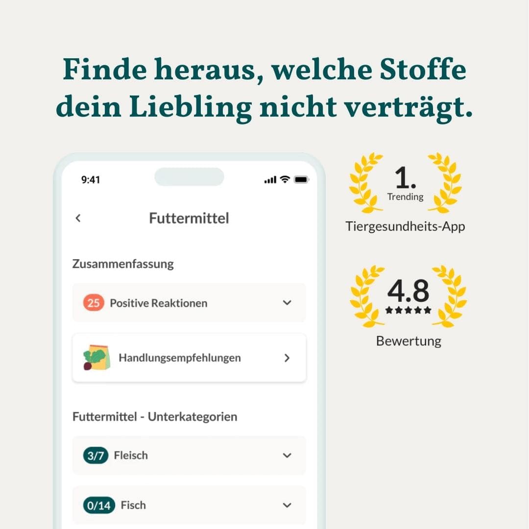 Vetevo Allergietest Basic Hund – 278 Futtermittel-Unverträglichkeiten erkennen | Bei Juckreiz, Pfotenlecken &amp; Durchfall - Woofshack