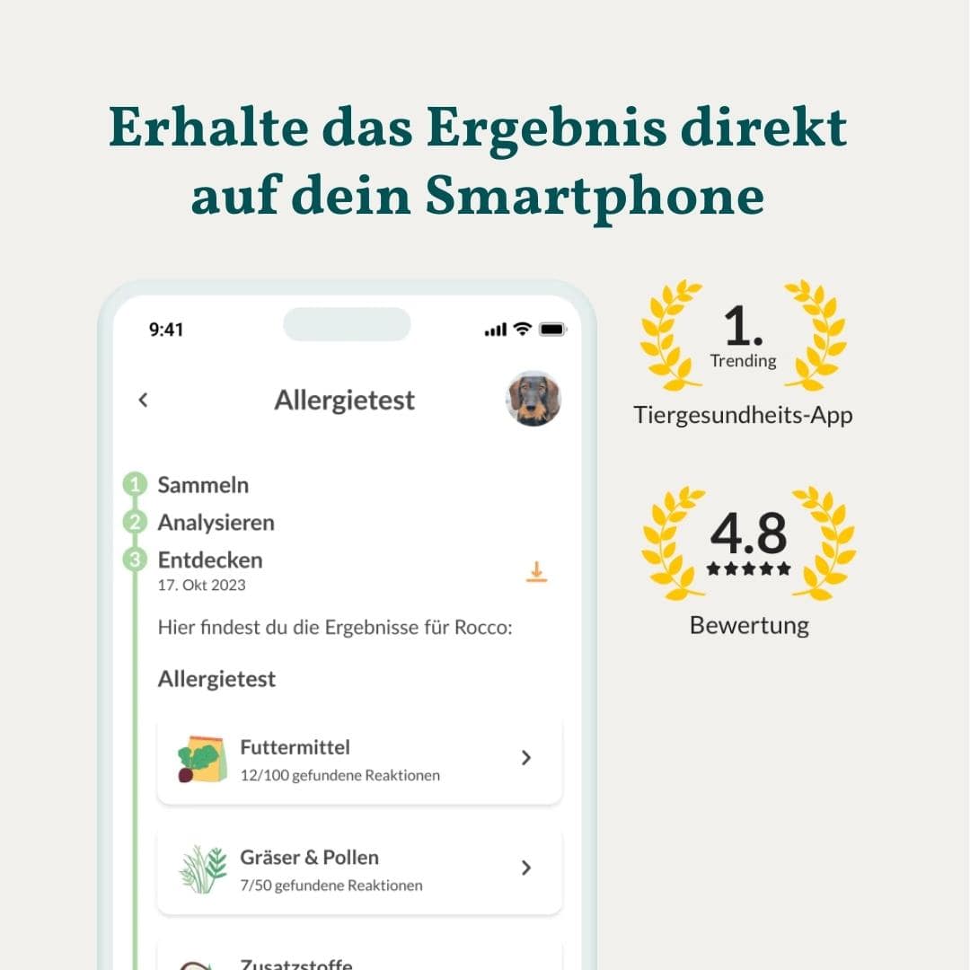 Vetevo Allergietest Basic Hund – 278 Futtermittel-Unverträglichkeiten erkennen | Bei Juckreiz, Pfotenlecken &amp; Durchfall - Woofshack