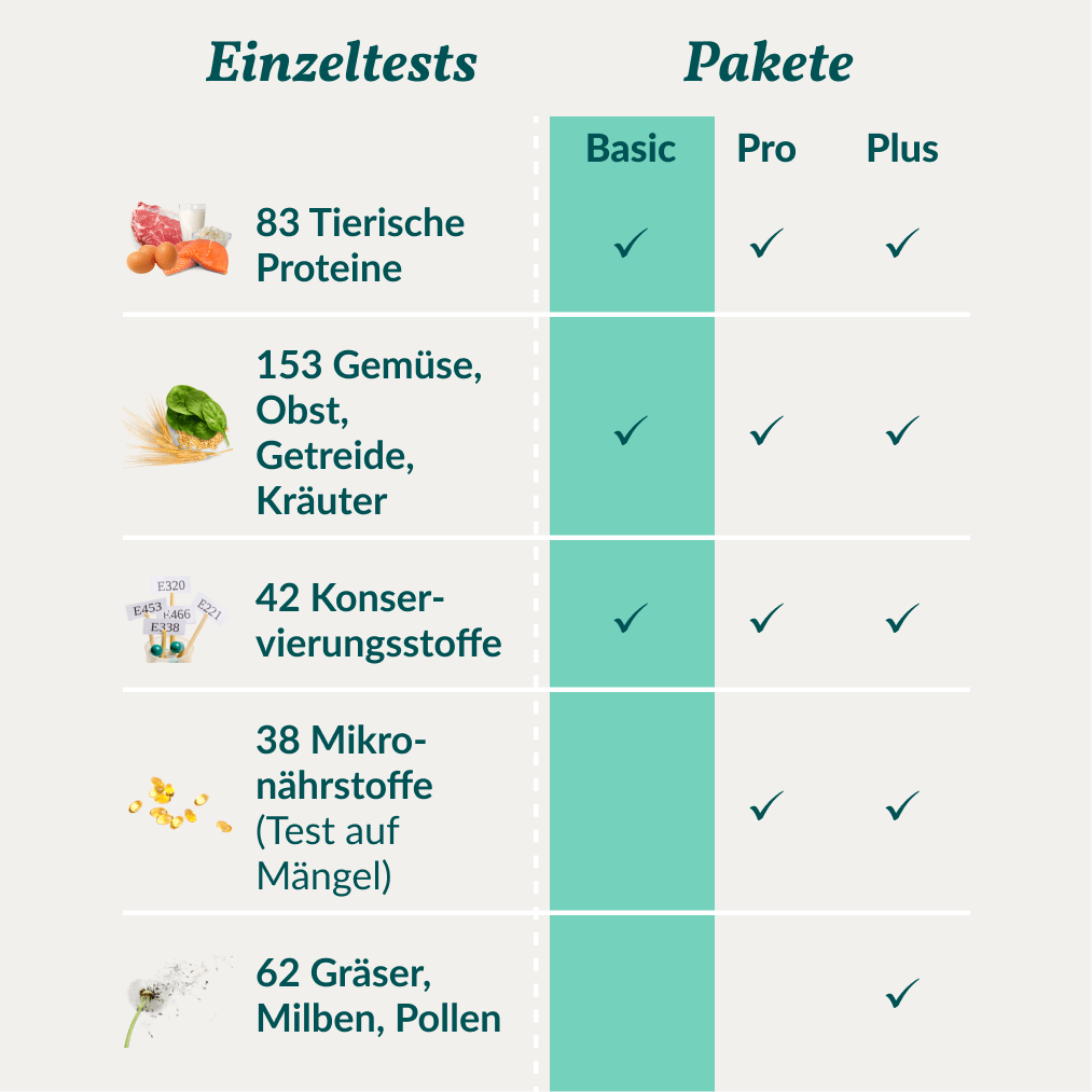 Vetevo Allergietest Basic Hund – 278 Futtermittel-Unverträglichkeiten erkennen | Bei Juckreiz, Pfotenlecken &amp; Durchfall - Woofshack