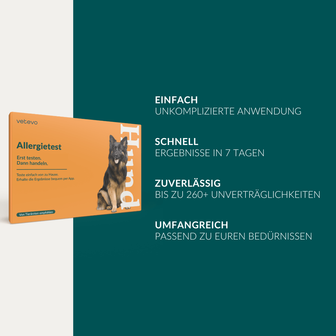 Vetevo Allergietest Basic Hund – 278 Futtermittel-Unverträglichkeiten erkennen | Bei Juckreiz, Pfotenlecken &amp; Durchfall - Woofshack