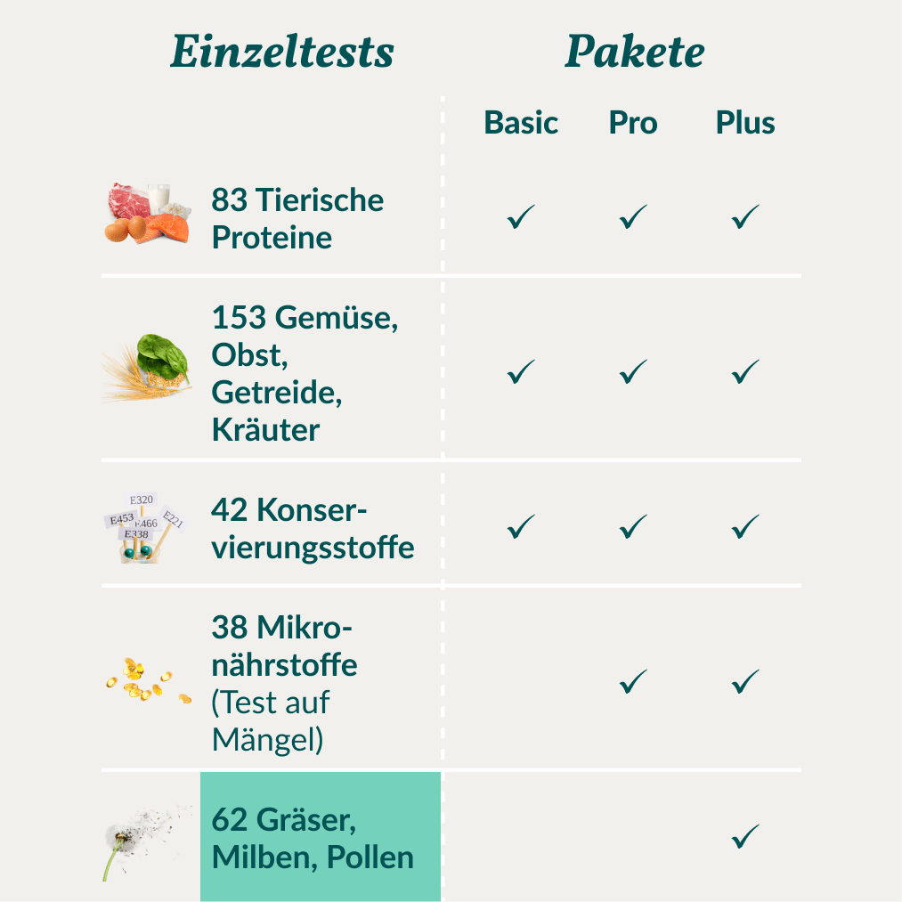 Vetevo Allergietest Hund – 62 Gräser, Milben &amp; Pollen | Juckreiz, Niesen &amp; Pfotenlecken endlich auf den Grund gehen - Woofshack