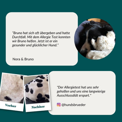 Vetevo Allergietest Konservierungsstoffe Hund – Endlich Klarheit bei Juckreiz, Durchfall &amp; Pfotenlecken | 42 Unverträglichkeiten testen - Woofshack